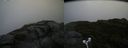 ./images/calvert/buxton2/20180826/buxton220180826_084953M.jpg