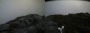 ./images/calvert/buxton2/20180826/buxton220180826_090454M.jpg