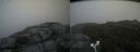 ./images/calvert/buxton2/20180826/buxton220180826_133454M.jpg