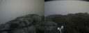 ./images/calvert/buxton2/20180826/buxton220180826_135453M.jpg