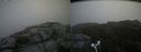 ./images/calvert/buxton2/20180826/buxton220180826_140453M.jpg