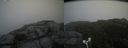 ./images/calvert/buxton2/20180826/buxton220180826_143454M.jpg