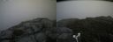 ./images/calvert/buxton2/20180826/buxton220180826_144953M.jpg