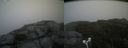 ./images/calvert/buxton2/20180826/buxton220180826_153454M.jpg