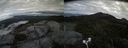 ./images/calvert/buxton2/20180828/buxton220180828_170953M.jpg