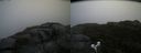 ./images/calvert/buxton2/20180829/buxton220180829_092954M.jpg