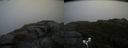 ./images/calvert/buxton2/20180829/buxton220180829_093453M.jpg