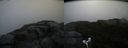 ./images/calvert/buxton2/20180829/buxton220180829_093954M.jpg