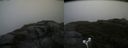 ./images/calvert/buxton2/20180829/buxton220180829_095453M.jpg