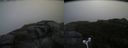 ./images/calvert/buxton2/20180829/buxton220180829_101953M.jpg