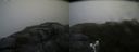 ./images/calvert/buxton2/20180829/buxton220180829_131453M.jpg