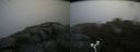 ./images/calvert/buxton2/20180829/buxton220180829_132453M.jpg