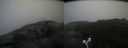 ./images/calvert/buxton2/20180829/buxton220180829_140953M.jpg