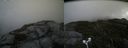 ./images/calvert/buxton2/20180830/buxton220180830_103953M.jpg