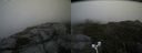./images/calvert/buxton2/20180830/buxton220180830_104453M.jpg
