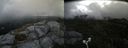 ./images/calvert/buxton2/20180830/buxton220180830_112953M.jpg
