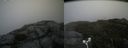 ./images/calvert/buxton2/20180830/buxton220180830_115453M.jpg