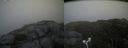 ./images/calvert/buxton2/20180830/buxton220180830_120454M.jpg