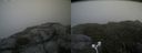 ./images/calvert/buxton2/20180830/buxton220180830_133453M.jpg