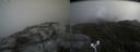 ./images/calvert/buxton2/20180830/buxton220180830_140453M.jpg