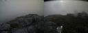 ./images/calvert/buxton2/20180831/buxton220180831_101453M.jpg