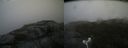 ./images/calvert/buxton2/20180831/buxton220180831_120454M.jpg