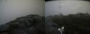 ./images/calvert/buxton2/20180831/buxton220180831_141453M.jpg