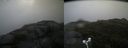 ./images/calvert/buxton2/20180831/buxton220180831_181454M.jpg