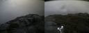 ./images/calvert/buxton2/20180907/buxton220180907_092453M.jpg