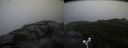 ./images/calvert/buxton2/20180909/buxton220180909_072452M.jpg