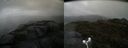 ./images/calvert/buxton2/20180910/buxton220180910_072453M.jpg