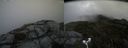 ./images/calvert/buxton2/20180914/buxton220180914_112452M.jpg