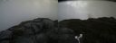 ./images/calvert/buxton2/20180914/buxton220180914_140952M.jpg