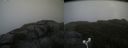 ./images/calvert/buxton2/20180914/buxton220180914_141452M.jpg