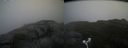 ./images/calvert/buxton2/20180914/buxton220180914_142952M.jpg