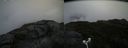 ./images/calvert/buxton2/20180915/buxton220180915_095453M.jpg