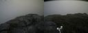 ./images/calvert/buxton2/20180915/buxton220180915_103453M.jpg