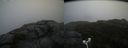 ./images/calvert/buxton2/20180915/buxton220180915_105952M.jpg