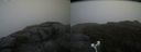 ./images/calvert/buxton2/20180915/buxton220180915_110952M.jpg