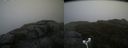 ./images/calvert/buxton2/20180915/buxton220180915_111453M.jpg