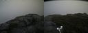 ./images/calvert/buxton2/20180915/buxton220180915_111952M.jpg