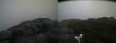 ./images/calvert/buxton2/20180915/buxton220180915_112452M.jpg