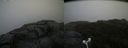 ./images/calvert/buxton2/20180915/buxton220180915_120452M.jpg
