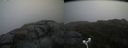 ./images/calvert/buxton2/20180915/buxton220180915_133452M.jpg