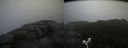 ./images/calvert/buxton2/20180915/buxton220180915_134952M.jpg