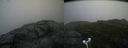 ./images/calvert/buxton2/20180915/buxton220180915_141452M.jpg