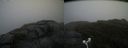 ./images/calvert/buxton2/20180915/buxton220180915_142452M.jpg