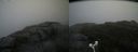 ./images/calvert/buxton2/20180915/buxton220180915_150452M.jpg