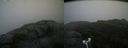 ./images/calvert/buxton2/20180915/buxton220180915_150953M.jpg