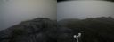 ./images/calvert/buxton2/20180915/buxton220180915_173452M.jpg